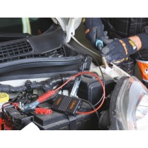 1498PC - STABILIZZATORE DI TENSIONE 12-24V